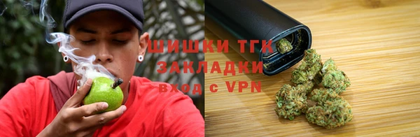 шишки Балабаново