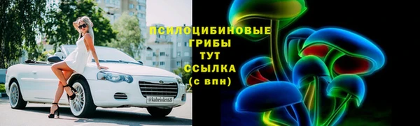 гидра Аркадак