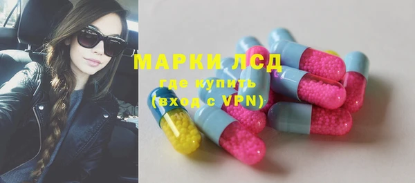гидра Аркадак