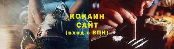 гашик Арсеньев