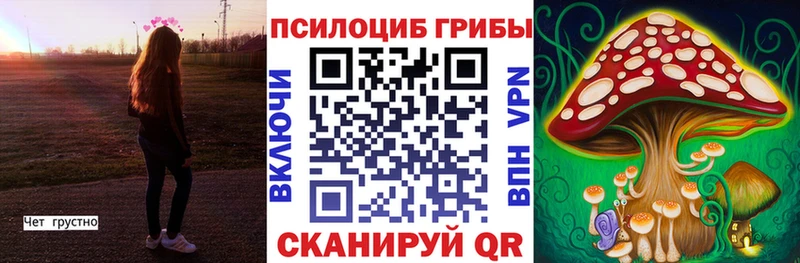 omg как войти  Афипский  Псилоцибиновые грибы ЛСД  купить  